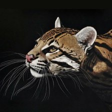 Схема вышивки «киса»