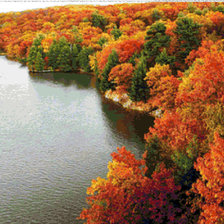 Схема вышивки «осень»