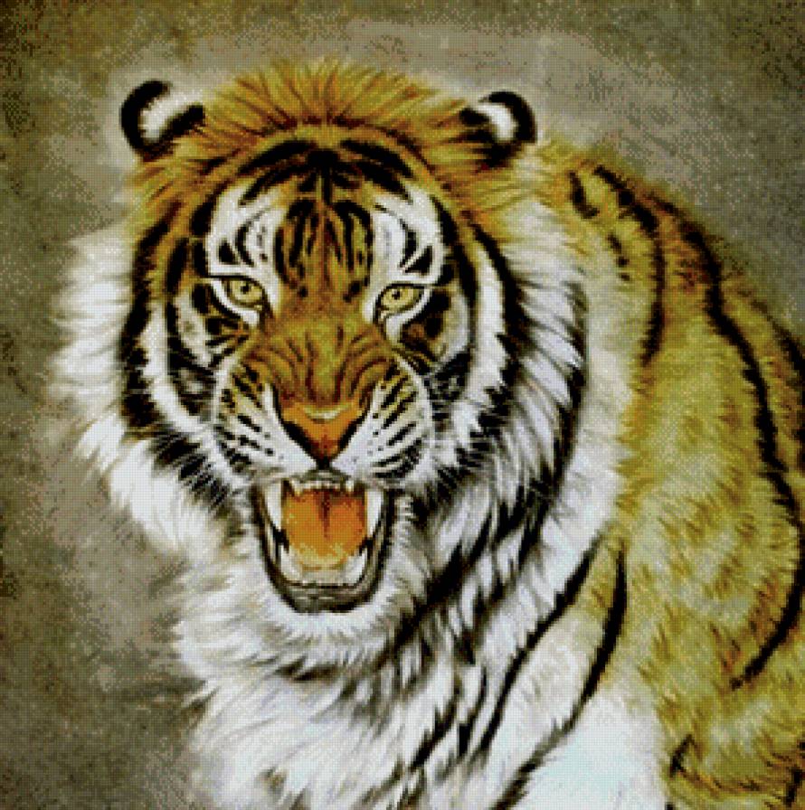 плохое настроение - взгляд, рык, оскал, живопись, хищник, тигр - предпросмотр