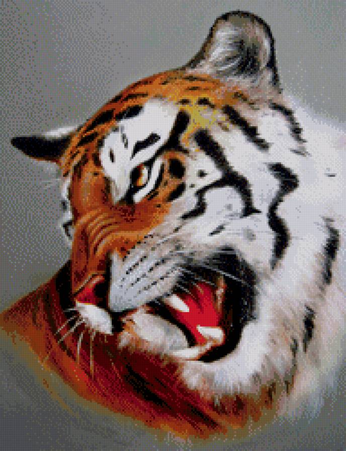 тигр - хищник, живопись, оскал - предпросмотр