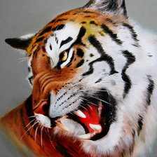 Схема вышивки «тигр»