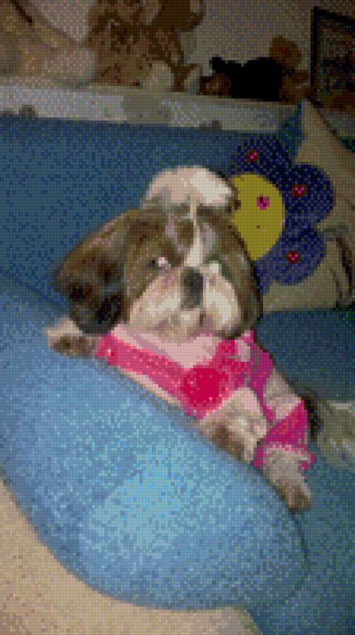 ЩИТ ЦУ - предпросмотр