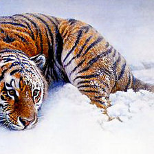 Схема вышивки «в снегу»