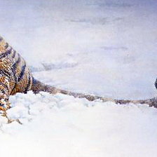 Схема вышивки «в снегу часть 2»