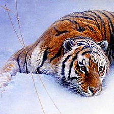 Схема вышивки «В снегу часть 1»