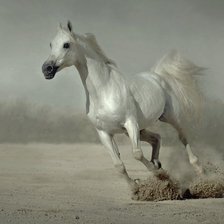 Схема вышивки «ЛОШАДЬ»