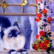 Схема вышивки «кот на окне»