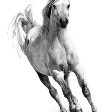 Схема вышивки «ЛОШАДЬ»