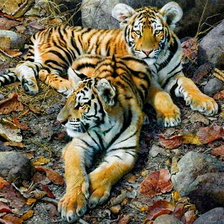 Схема вышивки «тигрята»