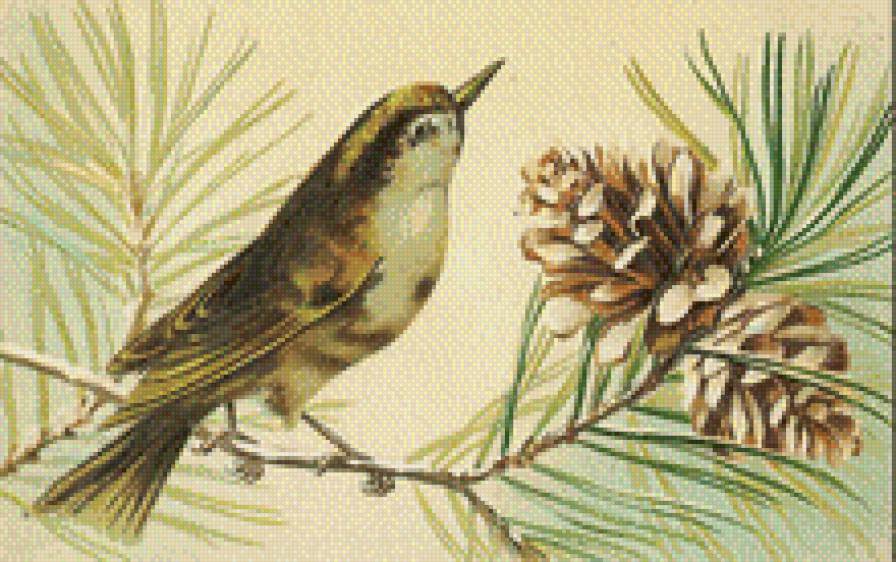 Птичка - ветка, птичка, шишка - предпросмотр