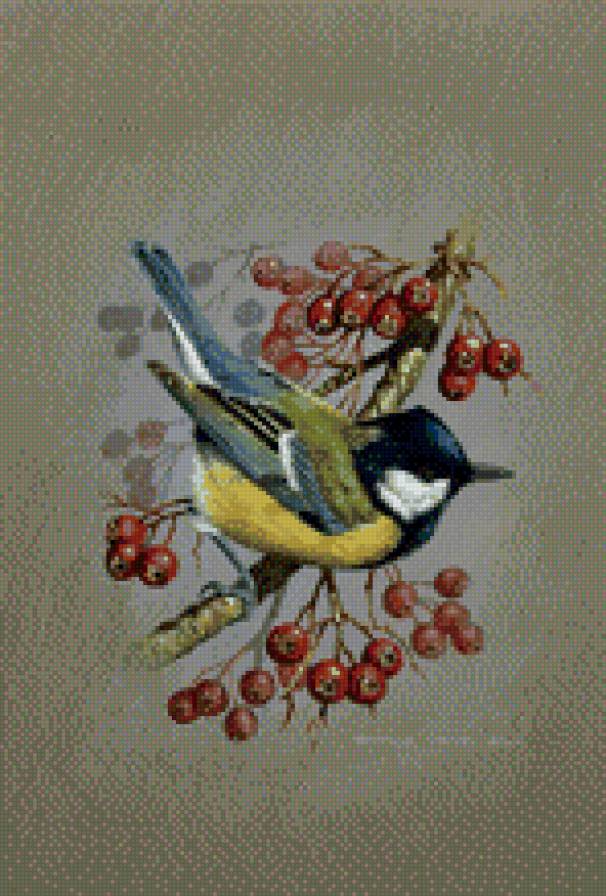 Синичка - синичка, рябина - предпросмотр