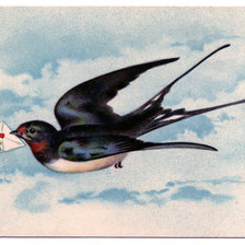 Схема вышивки «Ласточка»