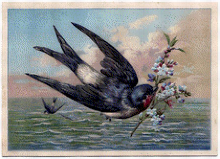 Ласточка - предпросмотр