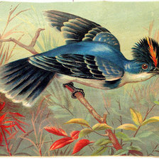 Схема вышивки «№508996»