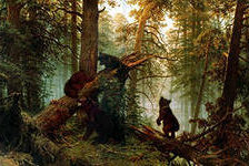 Мишки в лесу