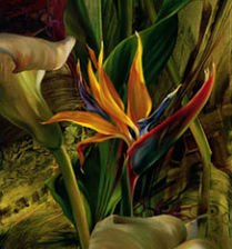 Схема вышивки «калы»