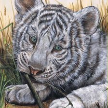 Схема вышивки «тигренок»