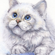 Схема вышивки «Синеглазка»