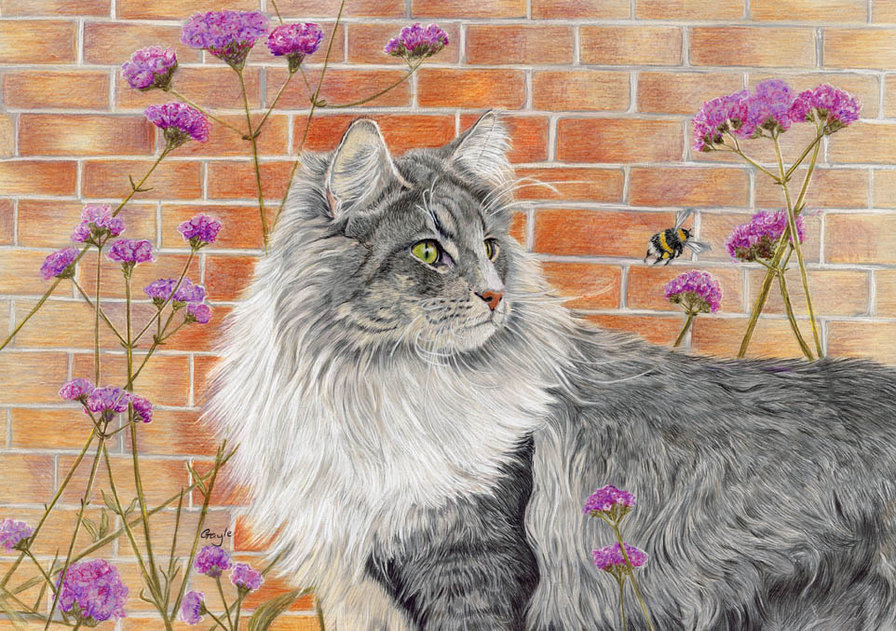 Красавчик - животные, кошки, цветы - оригинал