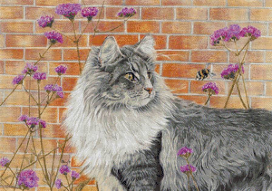 Красавчик - животные, цветы, кошки - предпросмотр
