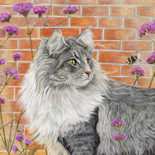 Схема вышивки «Красавчик»