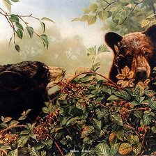 Схема вышивки «Серия "Медведи"»