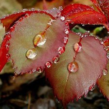 Схема вышивки «листок»