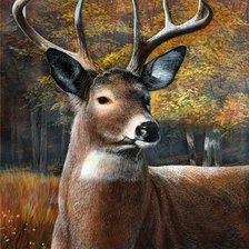 Схема вышивки «Серия "Олени"»