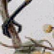 Предпросмотр схемы вышивки «Серия "Птички-невелички"» (№509213)
