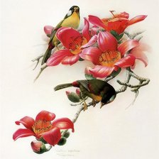 Схема вышивки «Серия "Птички-невелички"»