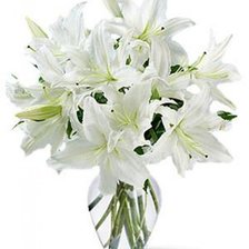 Схема вышивки «Лилии»