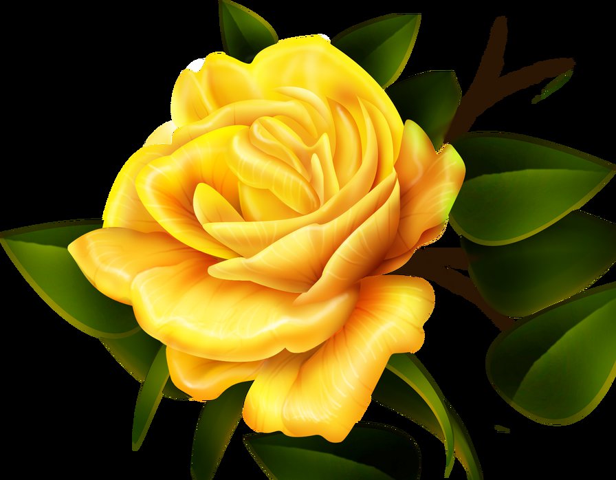 Желтая роза - цветы, розы - оригинал