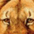 Предпросмотр схемы вышивки «Пара львов» (№509437)