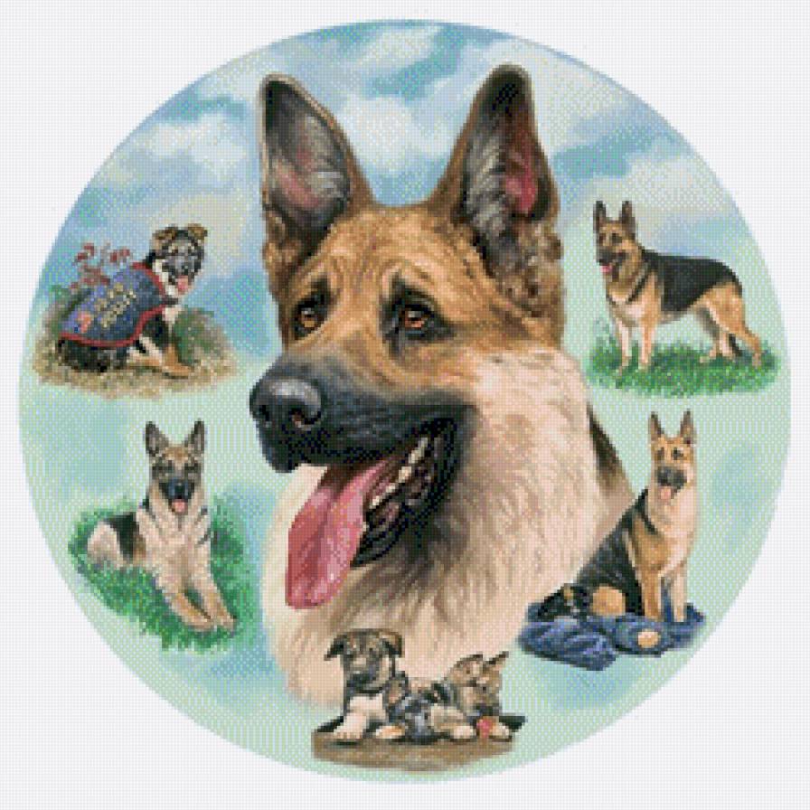 Салфетка - предпросмотр