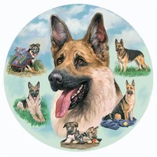 Схема вышивки «Салфетка»