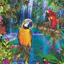 Схема вышивки «Попугаи»