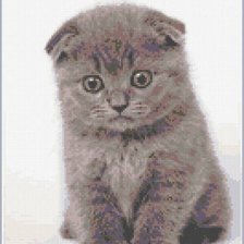 Схема вышивки «Мой котёнок»