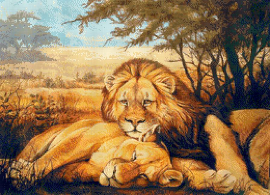 Львиная идиллия - пара, большие кошки, животные, львы - предпросмотр