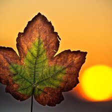 Схема вышивки «Пейзаж»