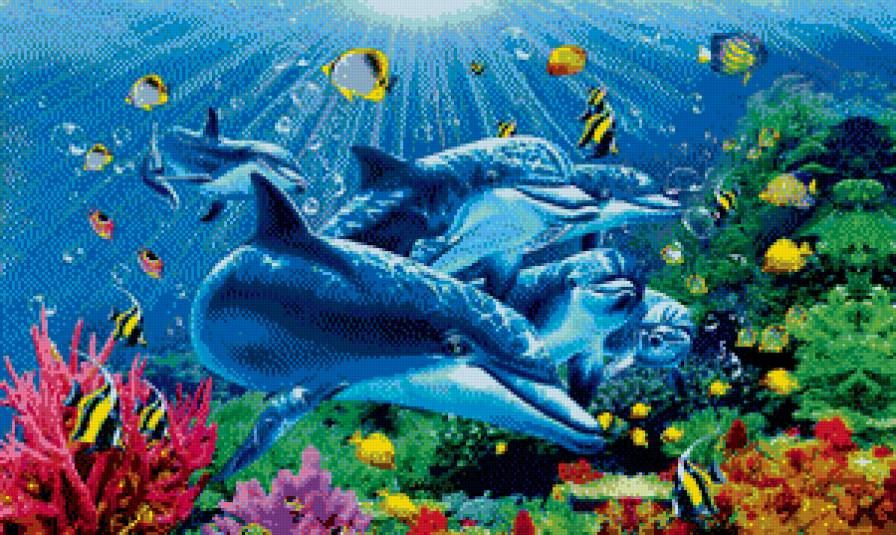 дельфины - море, вода, рыбы - предпросмотр