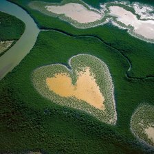 Схема вышивки «Природа»