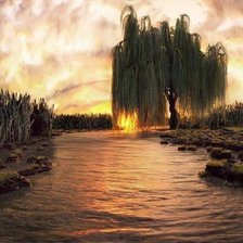 Схема вышивки «Ива»