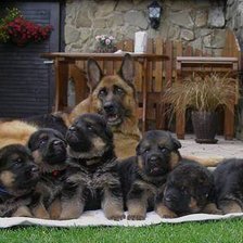 Схема вышивки «семья»