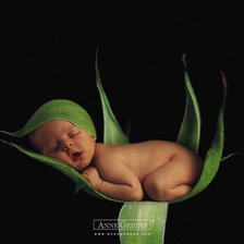 Схема вышивки «дети цветы жизни»