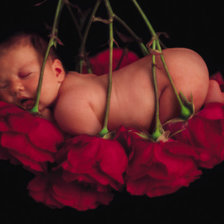 дети цветы жизни