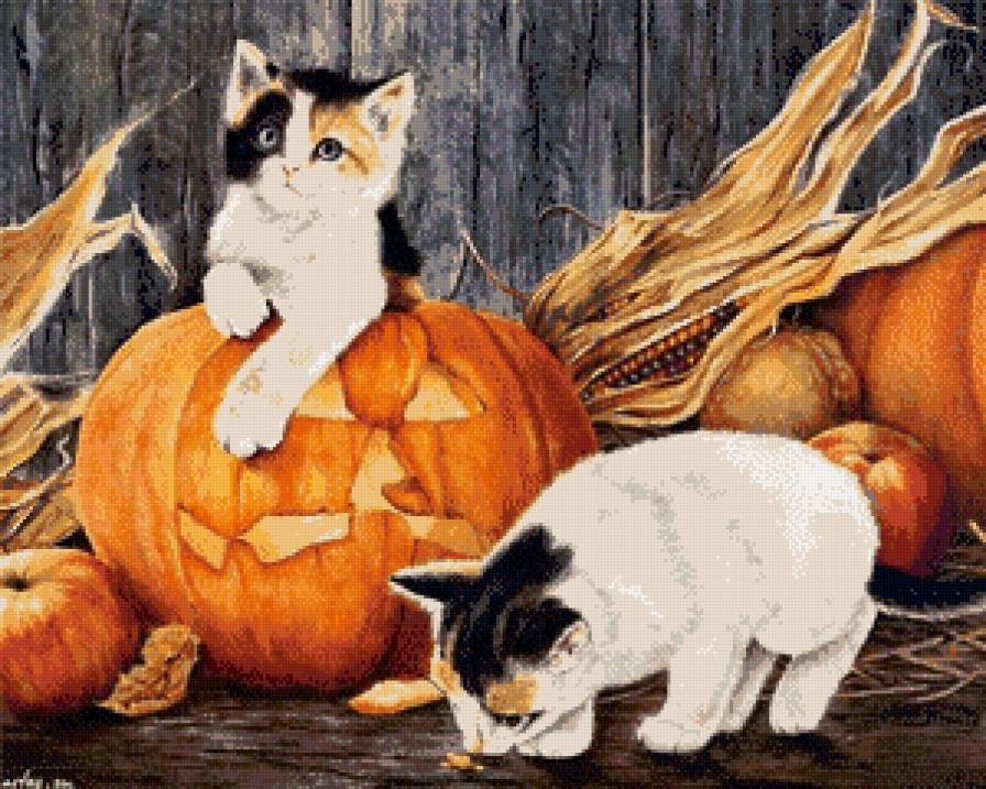 котята - коты, котята, животные, кот, домашние животные - предпросмотр