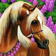 Схема вышивки «№510207»