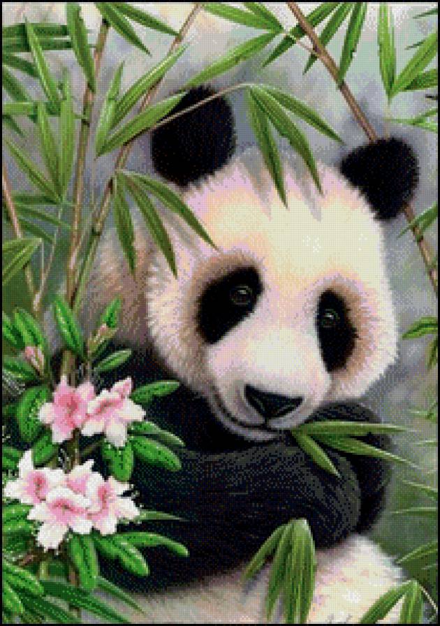 Пандочка - пейзаж, животные, медведи, цветы - предпросмотр