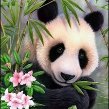 Схема вышивки «Пандочка»