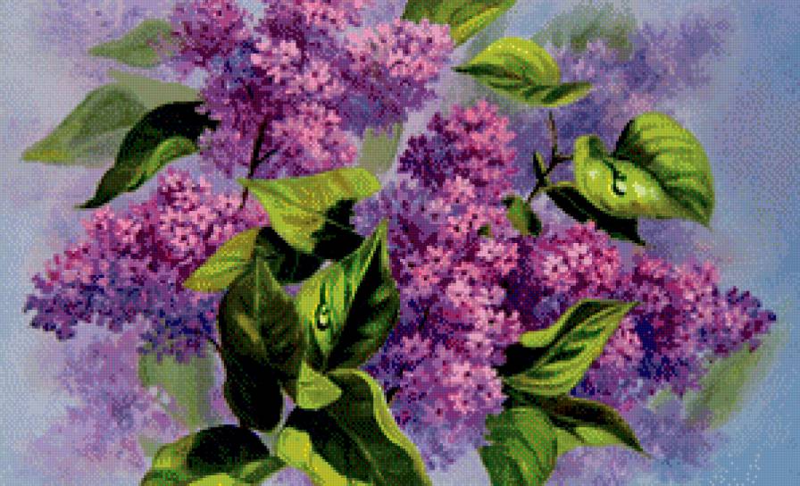 сирень - весна, цветы, букет, живопись, куст, картина - предпросмотр